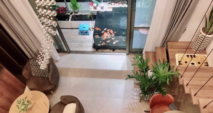 z4499216378115 5a0bcfc6a6e8239ca4b059cc7bed0928 810x430 - Bán nhanh căn hộ - Shophouse vừa ở vừa kinh doanh 1PN Midtown M7 Phú Mỹ Hưng Quận 7, 39M2+25M2 Lửng, chỉ 4,1 tỷ TL