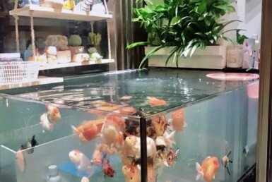 z4499216385227_10c6b4609c599ec785bb2a55fdaef40c