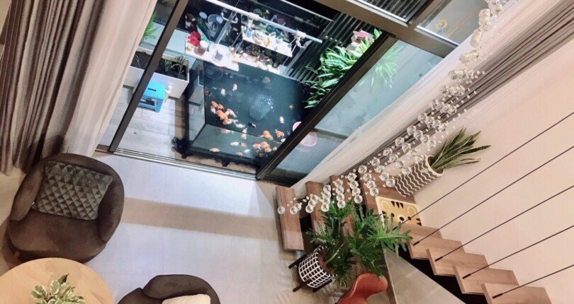 z4499216391725 e557045e904daa515ea95fc643f486d7 810x430 - Bán nhanh căn hộ - Shophouse vừa ở vừa kinh doanh 1PN Midtown M7 Phú Mỹ Hưng Quận 7, 39M2+25M2 Lửng, chỉ 4,1 tỷ TL