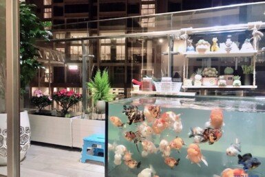 z4499216416356_cdfe0d980897782eff5a188f3b228630