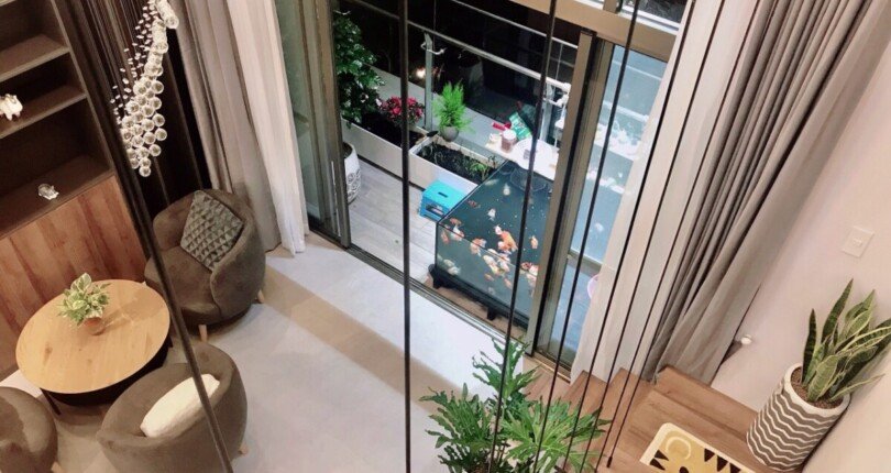 z4499216429684 689891fb70a6ab84bd34a3466b16a38a 810x430 - Bán nhanh căn hộ - Shophouse vừa ở vừa kinh doanh 1PN Midtown M7 Phú Mỹ Hưng Quận 7, 39M2+25M2 Lửng, chỉ 4,1 tỷ TL