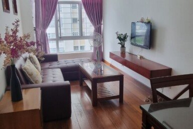 cho-thue-can-ho-sky-garden-3 (10)