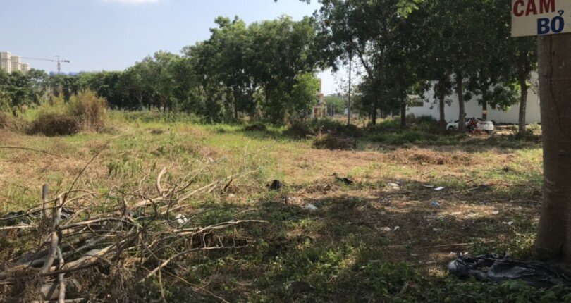 hinh anh mua ban dat nen adc phu my quan 7 t8 2023 810x430 - Mua bán đất nền lô L8 KDC Adc Phú Mỹ Quận 7 T8/2023