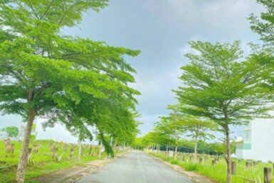 duong-noi-khu-dan-cu-nhon-duc-van-phat-hung-nha-be