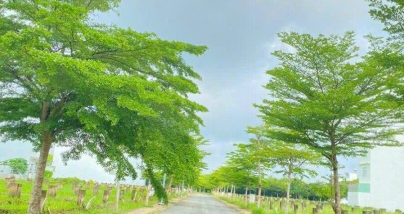 duong noi khu dan cu nhon duc van phat hung nha be 810x430 - Giá mua bán nhà đất Khu dân cư Nhơn Đức Vạn Phát Hưng Nhà bè T10/2023