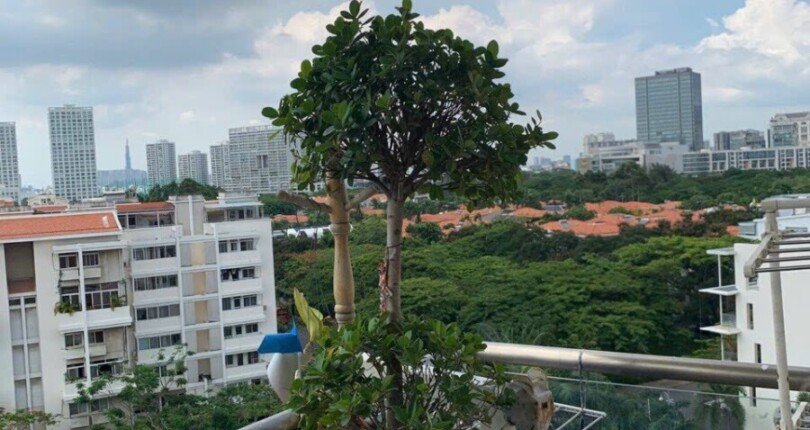 mot goc view ban cong can ho ban 810x430 - Mua bán căn hộ Khu phố Garden Plaza 1 Tân Phong Quận 7 T10/2023 giá rẻ