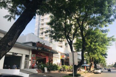 my-khanh-4-toa-lac-tren-duong-nguyen-duc-canh