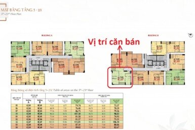 tang 5-23 B11.07