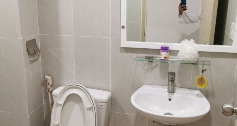 tollet can ho ban 2 810x430 - Bán căn hộ chung cư Scenic Valley 1, 02pn, tầng 9 , giá 3.9 tỷ, nội thất đầy đủ, view nội khu.