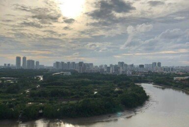 view-phong-ngu-nhin-song