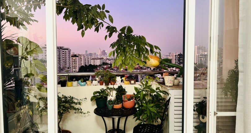 z4691788694012 9d6d9271e13e002a554b799163354195 810x430 - Bán rẻ căn hộ Mỹ Phúc PMH gần trường quốc tế Nam SG, 3PN, lầu cao view pháo hoa rất đẹp, chỉ 5.65 tỷ tỷ