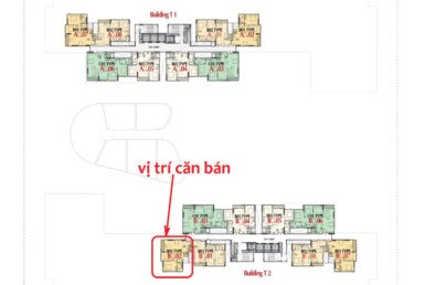 TANG-5- 12 can B6.02