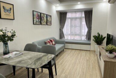 cho-thue-can-ho-sky-garden-3 (11)