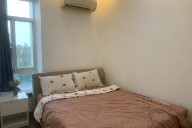 cho-thue-can-ho-sky-garden-3 (16)