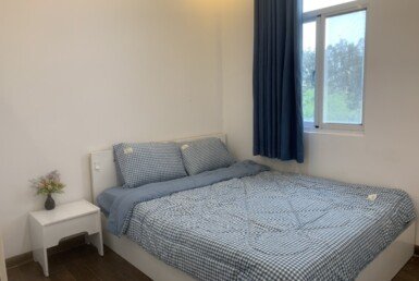 cho-thue-can-ho-sky-garden-3 (4)