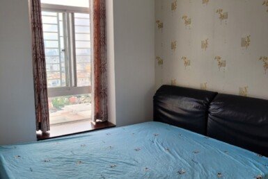 cho-thue-can-ho-sky-garden-3 (5)