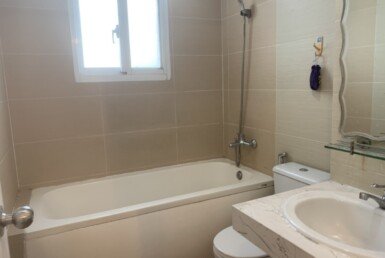 cho-thue-can-ho-sky-garden-3 (9)