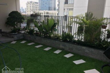 guestthumb745x510.20180807105033323