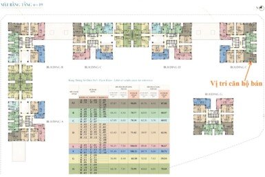 mat-bang-vi-tri-can-ho-ban-tai-chung-cu-saigon-south-residence-phuoc-kien-nha-be