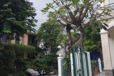 z4809904006762_946f6702b135a9ec3f0780e69646a126