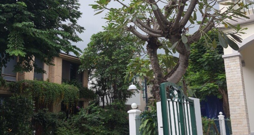 z4809904006762 946f6702b135a9ec3f0780e69646a126 810x430 - Cho thuê biệt thự Hưng Thái 2, căn góc 3 mặt tiền, vị trí đẹp nhất khu, nhà hoàn thiện cơ bản, giá chỉ 1700$/ tháng