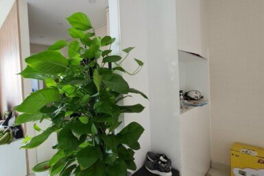 goc-phong-khach-can-ho-ban