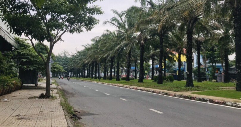 hinh anh duong 9a khu trung son 810x430 - Mua bán nhà đất đường 9A Khu Trung Sơn Bình Chánh T11/2023 giá rẻ