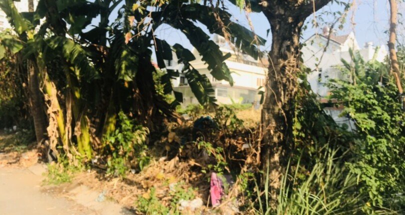 hinh anh mua ban dat nen khu dan cu tran thai phuoc kien nha be t12 2023 810x430 - Mua bán đất nền biệt thự Khu dân cư Trần Thái Nhà Bè T12/2023 giá rẻ