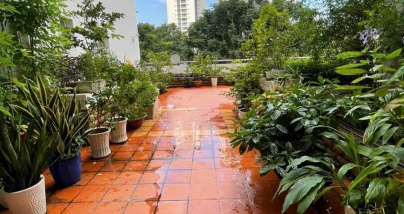 tang san vuon chung cu park view quan 7 810x430 - Mua bán căn hộ Chung cư Park View Quận 7 T11/2023 giá rẻ