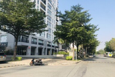 vi-tri-cardinal-court-tren-duong-raymondienne-lien-ke-chung-cu-star-hill-va-truong-dinh-thien-ly-2