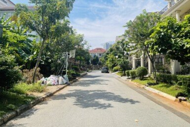 vi-tri-dat-nen-ban-toa-lac-tren-duong-noi-khu-phu-my-hung-qua-7