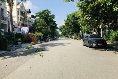 duong-noi-khu-my-gia-1-quan-7