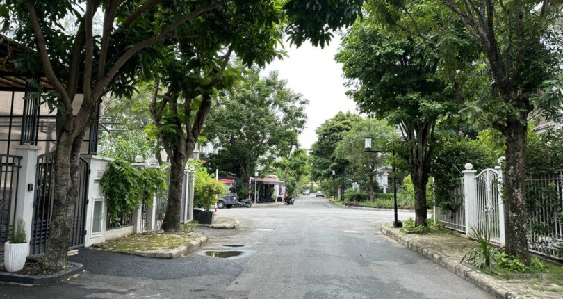 duong noi khu my phu 3 810x430 - Cho thuê nhà đất Khu biệt thự Mỹ Phú 3 T12/2023 giá rẻ