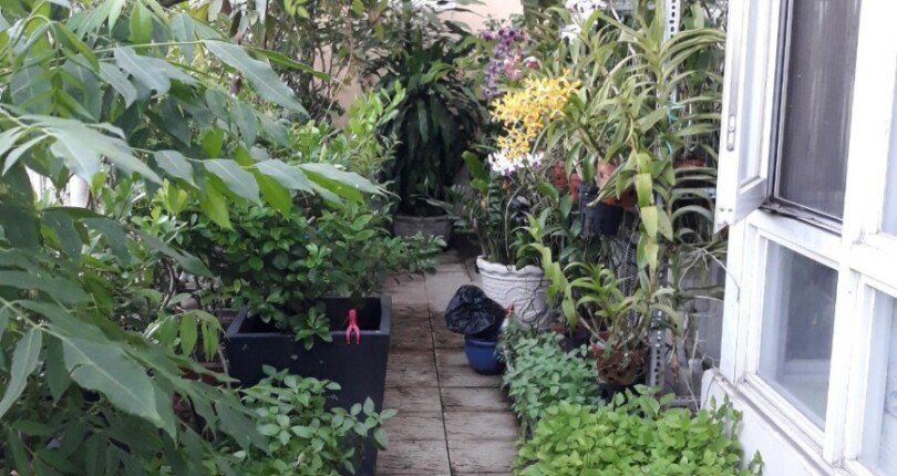 san vuon can ho ban 810x430 - Giảm 1 tỷ bán gấp trước tết căn hộ Riverside Residence, 220m2, giá còn 12,3 tỷ