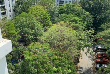 view-ban-cong-can-ho-nhin-cong-vien-noi-khu