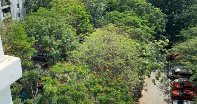 view ban cong can ho nhin cong vien noi khu 1 810x430 - Mua bán căn hộ Chung cư Mỹ Viên Phường Tân Phú, Quận 7, 118m2 giá 4 tỷ rẻ nhất thị trường