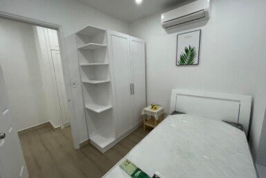 cho-thue-can-ho-sky-garden-3 (18)