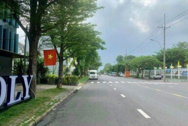 duong-tan-phu-khu-pho-nam-thong-3-quan-7