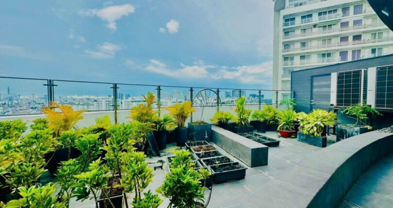 hinh anh san vuon 810x430 - Giá mua bán Penthouse Chung cư Riverpark Residence Quận 7 T2/2024
