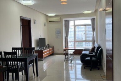 cho-thue-can-ho-sky-garden-3 (12)