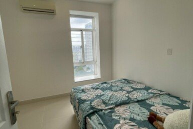 cho-thue-can-ho-sky-garden-3 (4)