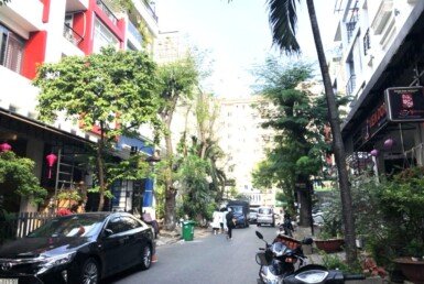 duong-noi-khu-hung-phuoc-3