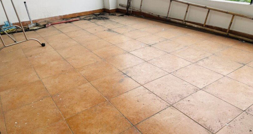 san thuong tren nha 810x430 - Giá mua bán nhà khu phố Hưng Gia 1 Phú Mỹ Hưng T2/2024