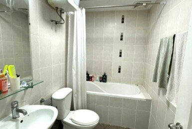 toilet-can