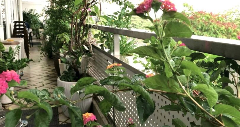 ban cong 1 810x430 - Giá mua bán căn hộ 3 phòng ngủ block C Chung cư Grand View Quận 7 T4/2024