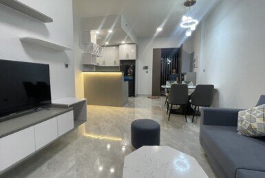 cho-thue-can-ho-midtown (6)