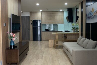 cho-thue-can-ho-saigon south  (19)