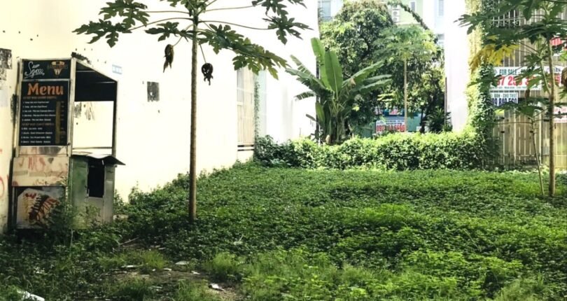 dat nen ban 1 810x430 - Duy nhất cặp đất nền mặt đường Lê Văn Thiêm Quận 7 cần bán giá 67,5 tỷ