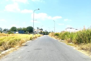 duong-noi-khu-thai-son-1