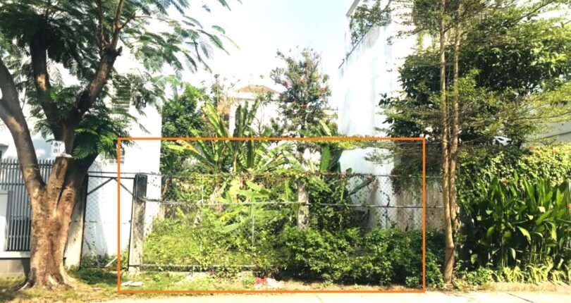 hinh anh mua ban dat nen khu dan cu lang dai hoc nha be khu c t4 2024 810x430 - Giá mua bán đất nền lô 2 mặt đường Khu dân cư Làng Đại Học Khu C Nhà Bè T4/2024